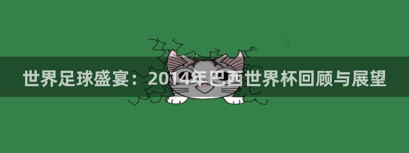世界杯足球赛2026：世界足球盛宴：2014年巴西世界杯回顾与展望