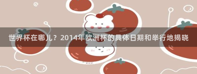 2026世界杯：世界杯在哪儿？2014年欧洲杯的具体日期和举行地揭晓