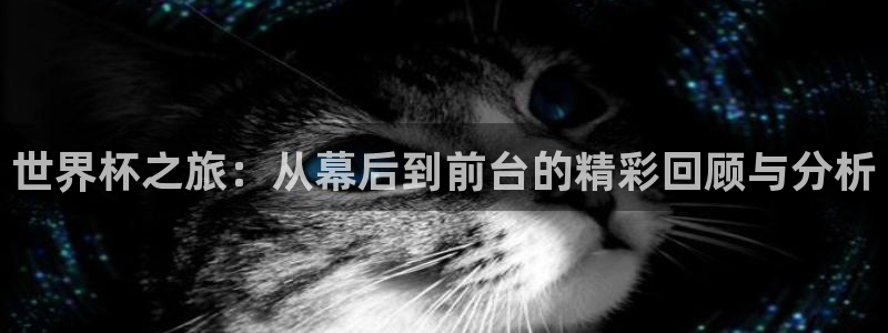 2026世界杯小组赛赛程时间表：世界杯之旅：从幕后到前台的精彩回顾与分析