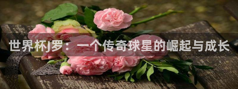 世界杯小组赛赛程：世界杯J罗：一个传奇球星的崛起与成长