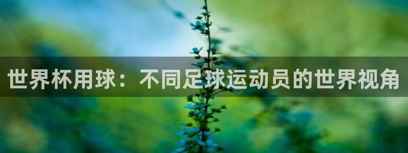 世界杯足球赛：世界杯用球：不同足球运动员的世界视角