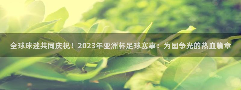 世界杯直播在线观看入口：全球球迷共同庆祝！2023年亚洲杯足球赛事：为国争光的热血篇章