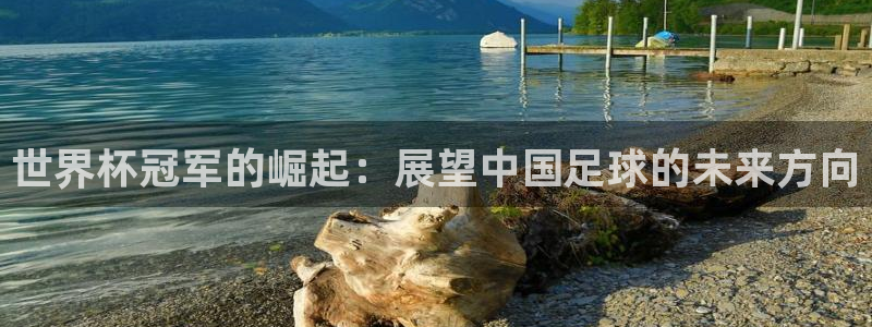2026年世界杯对阵图：世界杯冠军的崛起：展望中国足球的未来方向