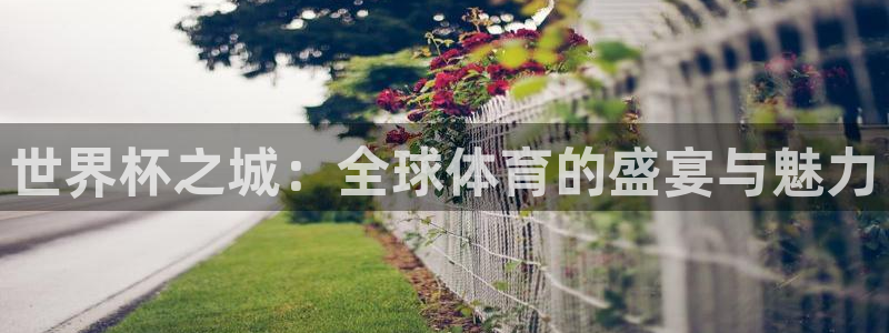 联赛杯直播：世界杯之城：全球体育的盛宴与魅力