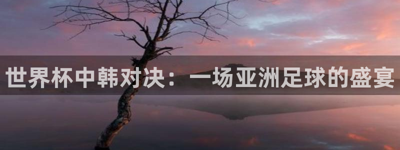 世界杯直播时间：世界杯中韩对决：一场亚洲足球的盛宴