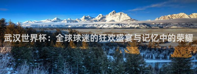 世界杯在线直播入口：武汉世界杯：全球球迷的狂欢盛宴与记忆中的荣耀