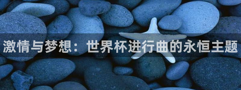 2026世界杯赛程时间表最新：激情与梦想：世界杯进行曲的永恒主题