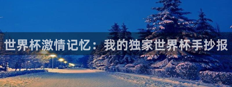 世界杯亚洲区预选赛积分榜：世界杯激情记忆：我的独家世界杯手抄报