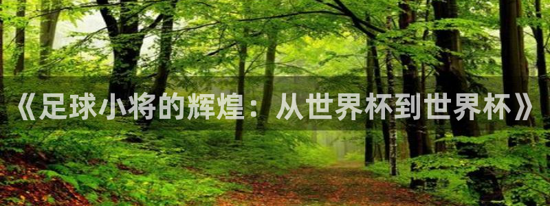 2026世界杯预选赛：《足球小将的辉煌：从世界杯到世界杯》