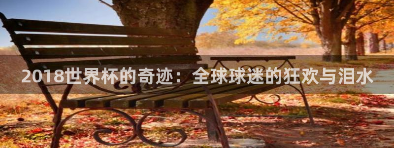 世界杯转播表：2018世界杯的奇迹：全球球迷的狂欢与泪水