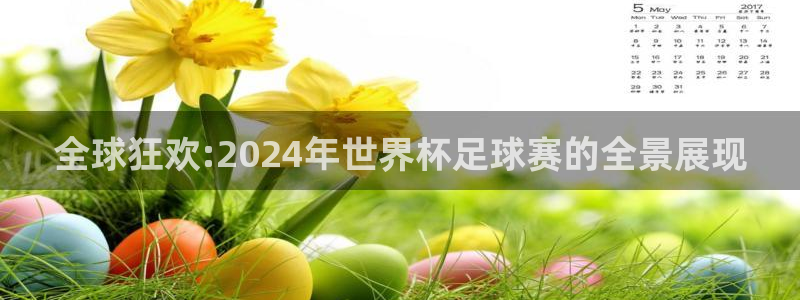 亚洲杯足球：全球狂欢:2024年世界杯足球赛的全景展现